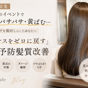 49ac1a42-ee8b-4f75-bb79-1c453449d308